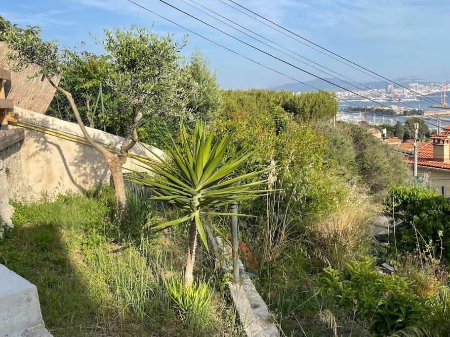 Superbe Terrasse Avec Vue Panoramique Sur La Mer Marseille Exteriör bild