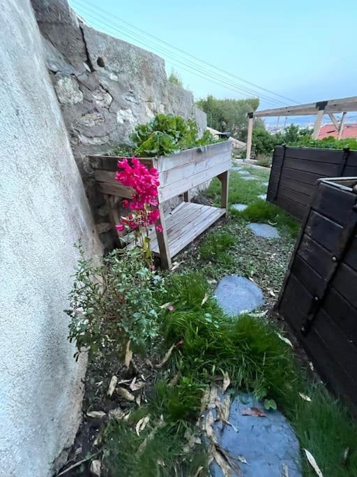 Superbe Terrasse Avec Vue Panoramique Sur La Mer Marseille Exteriör bild