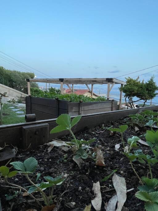 Superbe Terrasse Avec Vue Panoramique Sur La Mer Marseille Exteriör bild